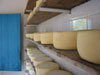 fabricar queijo canastra